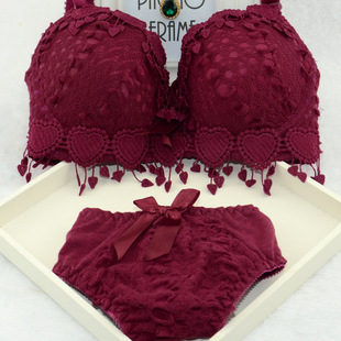 Hot Sale Women Underwear Set Cotton Bra Panty Set Brand Embr