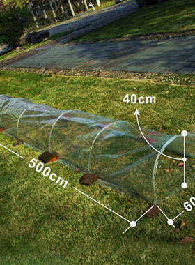 5m Arched Greenhouse Garden Tunnel Plants Grow House Steel
