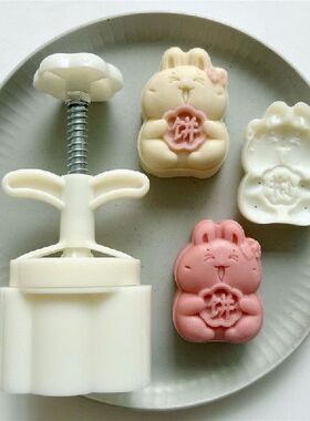 896A Mooncake Molds Mooncake Moulds Hand Pressure Plastic