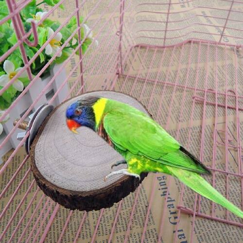 Funny Pet Bird Parrot Hamster Wooden Cage Perches Stand