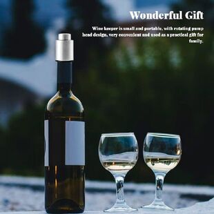 Seal Sparkling Wine Bottle Stopper Cork Cute Time Scale