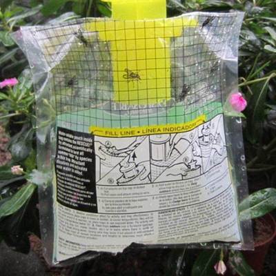 pgraded Disposable Fly Trap Catcher Fly Catcher Insect Trap