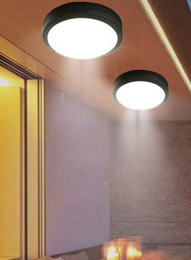 Moisture-Proof Balcony Corridor Ceiling Lamps Outdoor Ceilin