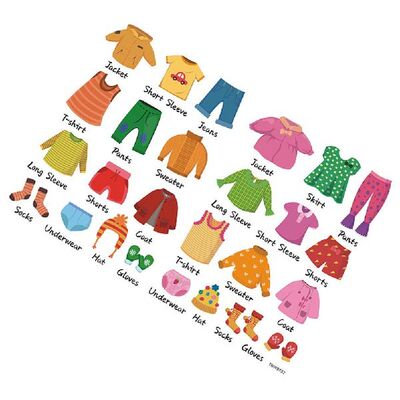 1 Set Clothing Decal Clothes Organization Stickers Clothing