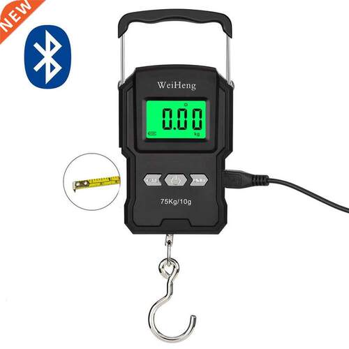 WeiHeng A27L 75kg/10g Electronic Hook Scale High Precisions