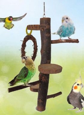 Smooth Surface Fixable Wooden Bird Winding Stair Parrot