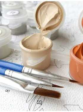 Painting By Numbers s DIY 60x75cm Framed acrylic paint by n