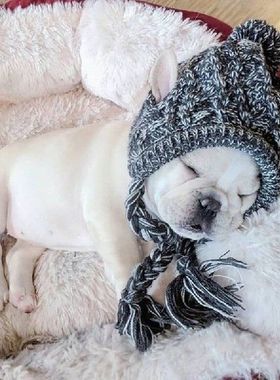 Puppy Small Animals Warm Pet Dog Knitted Hat Windproof