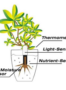 Mi HHCC Flora Monitor + Smart Flower Pot Digital Grass Flowe