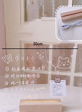 USB Transparent Acrylic Daily Time Photo Memo Message Board