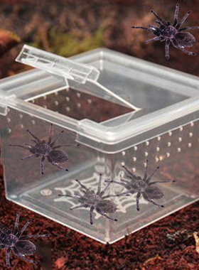 1PC Reptile Acrylic Cage Breeding Habitat Lizard Snake