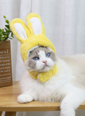 Cat Clothes Headgear Costume Bunny Rabbit Ears Hat Dog