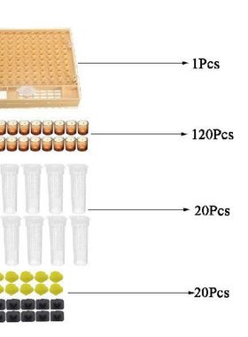 1set bee tools kit queen rearing system complete pedestal