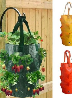Outdoor Grow Bag for Plants Hanging Strawberry Bag