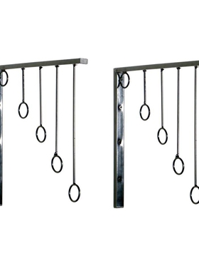 Wall Mounted Clothing Rack 2 Pack,Metal Clothing Organizer