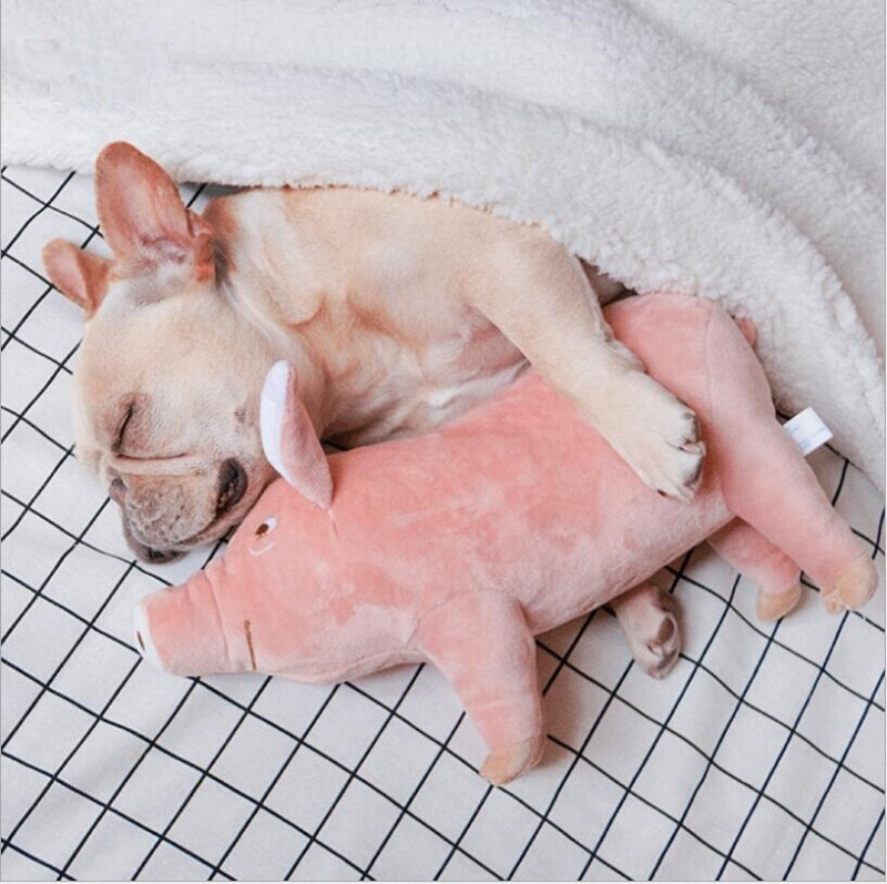 pet dogs toys accompany sleeping pigs toys warm soft plush c