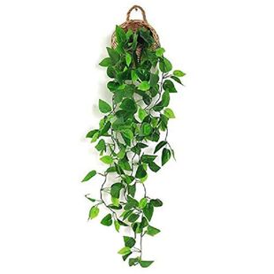 Decorative Artificial Plants Outdoor Indoor in Hanging