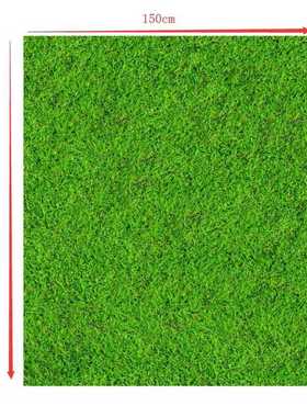 6x10ft Vinyl Pure White Wall Photography Background Green Gr