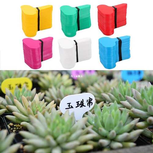 100Pcs PP Plastic Plant Tags T-type Markers Nursery Pots See