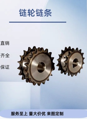 链轮 60B BSP60B 9/10/11/12/13-N- 19/20/22/24/25/28/30/35/38