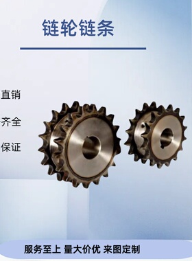 链轮 双列型-40B系列-SP40SD-15/16/17/18-S/N-13 20/25/28/30/35