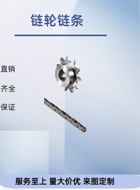 链条 50B -10A-  链条 CHE50 CHEH50 CHEM50 CHES50 厂家直销