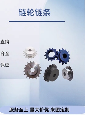 链轮 50B SP50B13-S/N-12/15/16/17/18/19/20/22/24/25/28/30/32