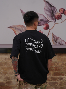 Procano24SS刺绣波浪旗帜主题印花纯棉宽松休闲潮流短袖春夏T恤男