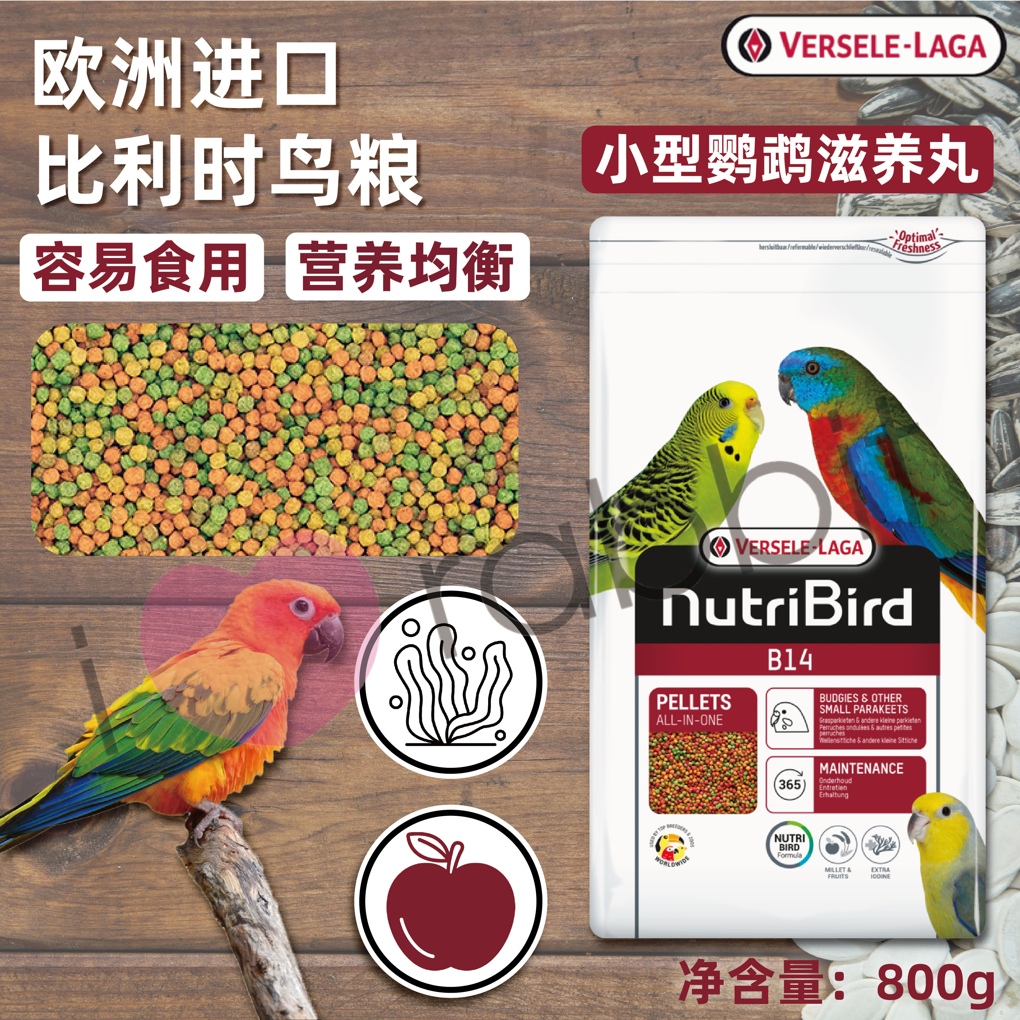 Versele-Laga凡赛尔B14金丝雀