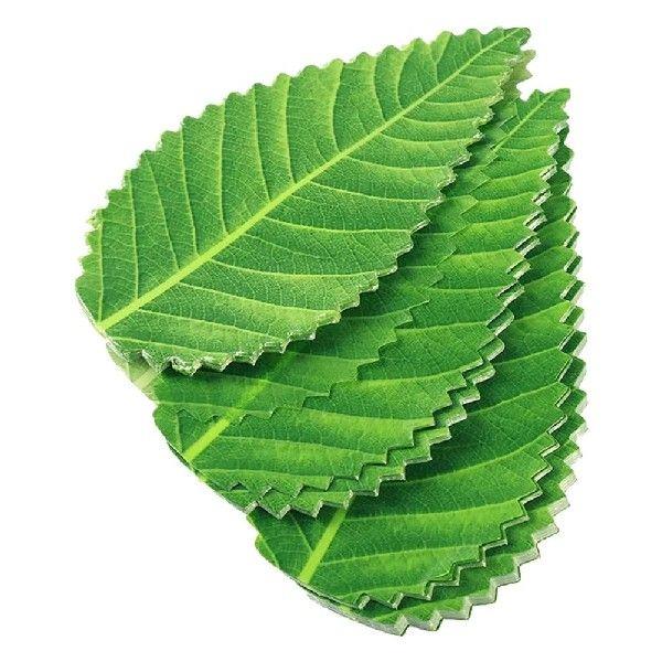 200 Pcs Sushi Decorative Leaves Dish Decoration Reusable