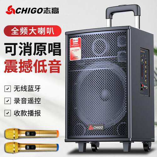 志高广场舞音响户外重低