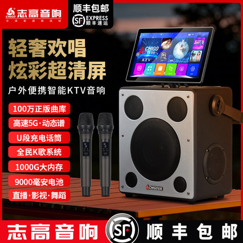 志高广场舞音响显示屏户