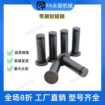 MIC01-D10 D12-L15 L18 L22 L24 L25 L30 L35 L40 L50带肩铰链销