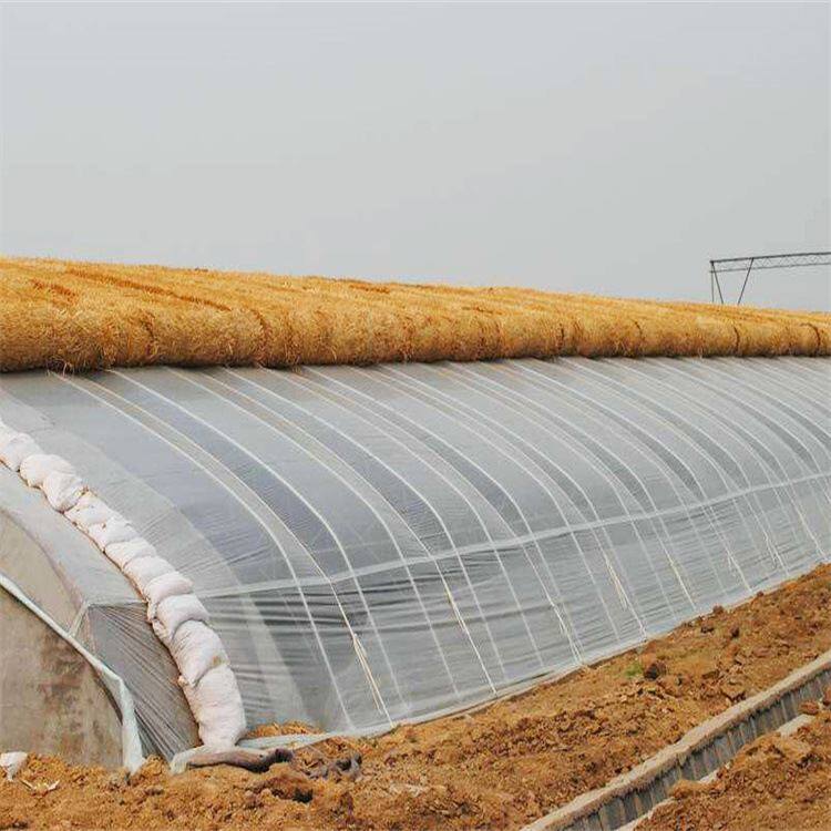 简单实用冬暖式日光温室大棚菊花花卉种植育苗基地专业生产厂家