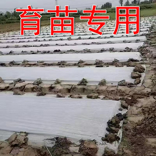 水稻育秧膜农用无纺布保温布防寒防冻防冷霜绿化防尘育种白色大卷