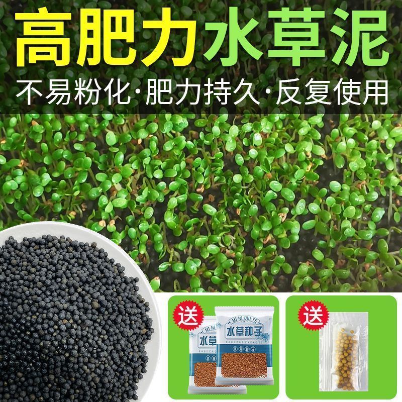 水草泥鱼缸造景石套餐底砂水草种子水族陶粒砂沙基肥营养土不浑水