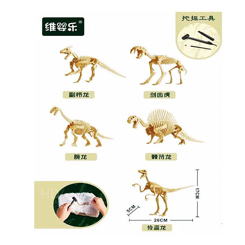 儿童考古挖掘盲盒恐龙化石骨架模型石膏玩具