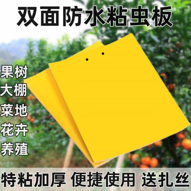 双面粘虫板贴纸强力灭杀小飞虫沾果蝇诱捕神器捉蚊子苍蝇大棚黄板