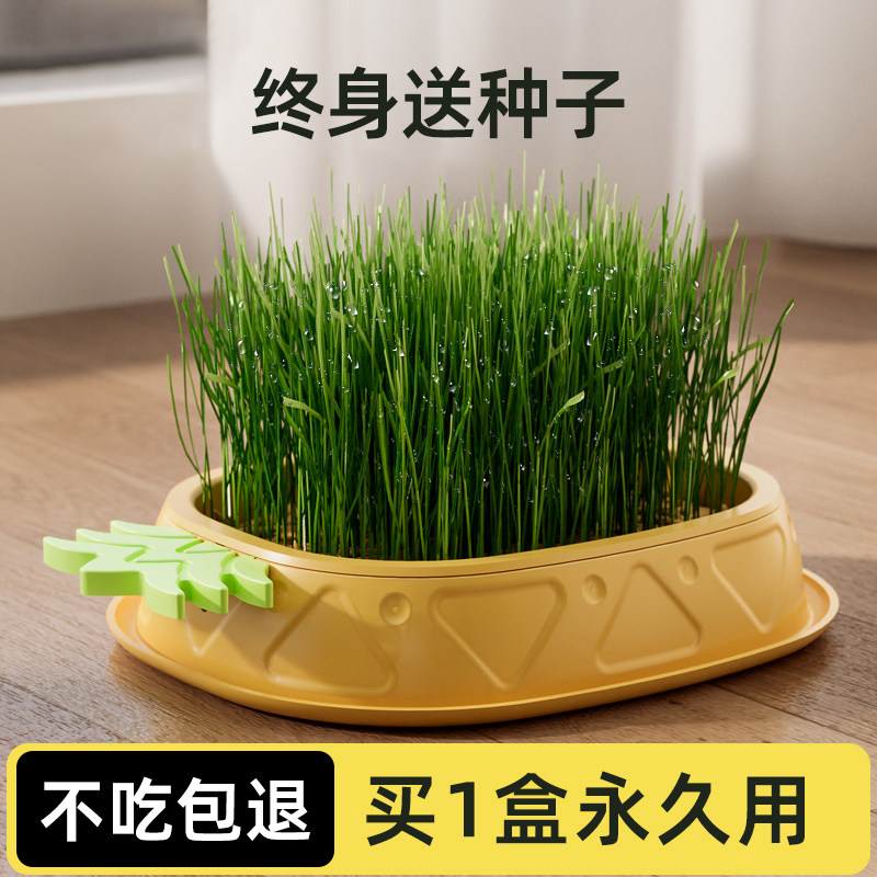 猫草盆栽种籽育苗盘懒人水培化毛球片猫薄荷小麦草种子幼猫咪零食
