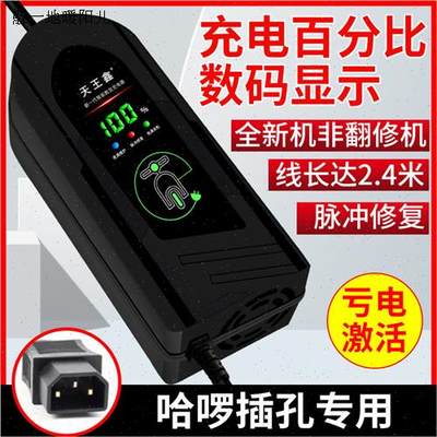 适用哈啰小公插电动车电瓶充电器48V12A60sV20AH72V32A40A