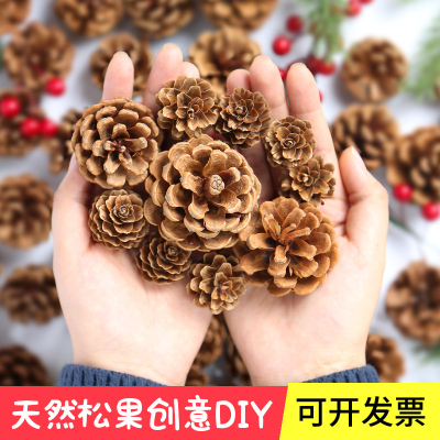 装饰松塔幼儿园儿童手工diy材料包环创树枝干花摆件吊饰松果