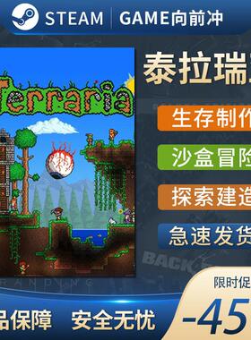 泰拉瑞亚steam Terraria 激活码 cdk正版PC中文 兑换码 cdkey