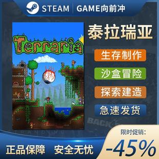 泰拉瑞亚steam Terraria 激活码 cdk正版PC中文 兑换码 cdkey