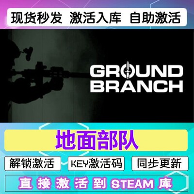 地面部队 steam激活码cdkey在线电脑游戏正版兑换码GROUND BRANCH