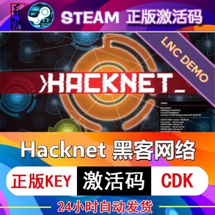 黑客网络 骇客网络steam激活码cdkey在线PC游戏正版兑换码Hacknet