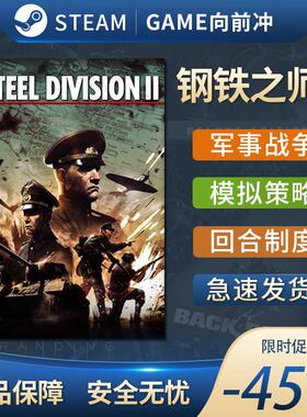 钢铁之师2 Steel Division 2 STEAM正版PC中文 军事战争 回合策略