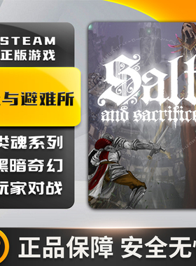 盐与避难所 盐与献祭 Salt and Sacrifice STEAM正版 PC中文