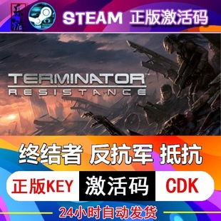 终结者反抗军抵抗steam激活码cdkey在线PC游戏入库正版兑换码永久