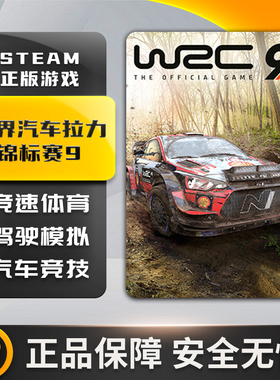 世界汽车拉力锦标赛9 WRC 9 FIA World STEAM正版PC中文 国区key