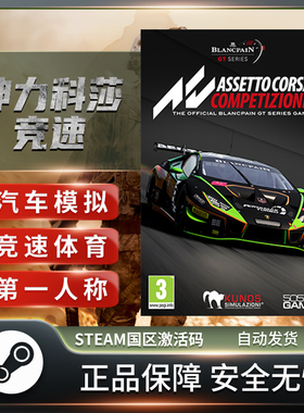 神力科莎 争锋 竞技版 Assetto Corsa Competizione STEAM正版KEY